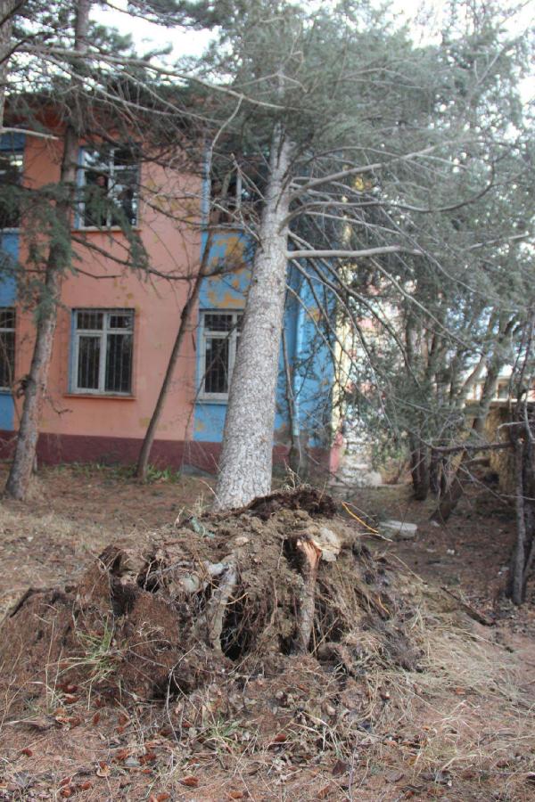 Lodos, Suşehri'nde etkili oldu