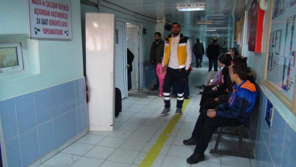 Silvan'da domuz gribi paniği