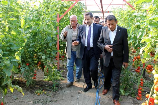 Bakan Çelik, hortumdan zarar gören Demreli üreticiyi ziyaret etti