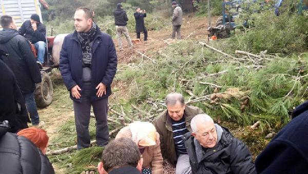 CHP'liler ve çevrecilerden RES için ağaç kesimine müdahale