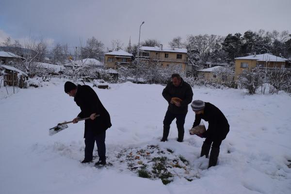 Soğuk havada sokak hayvanları ve kuşlar unutulmadı