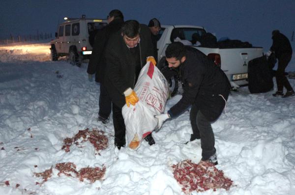 Kahramanmaraş'ta  Karagöl'de yaban hayvanlarına yem
