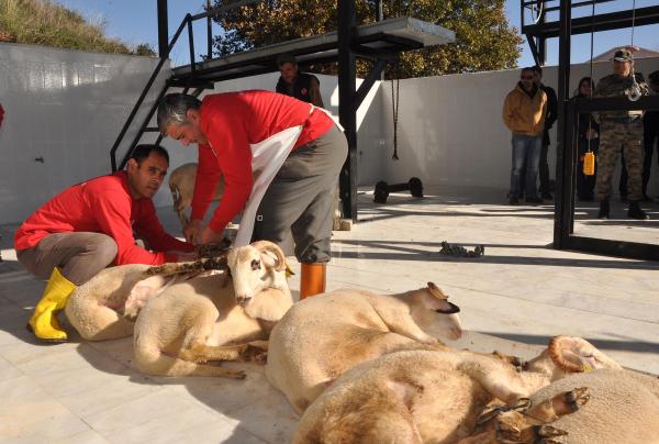 Terör mücadelesindeki güvenlik güçleri için Datça'da kurban kesildi