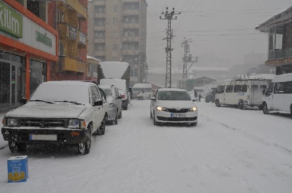 Yüksekova'da kar yolları kapattı