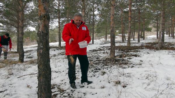 Erzincan Valisi, hayvanlar için yem bıraktı