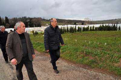 CHP'li İnce hasar gören seralarda inceleme yaptı