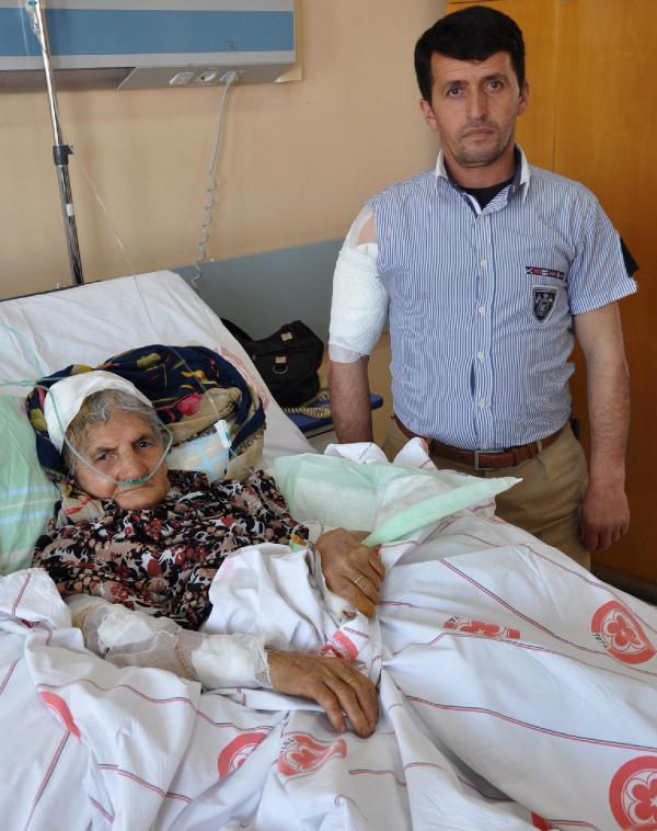 Çoban köpeklerinin saldırısında anne- oğul hastanelik oldu