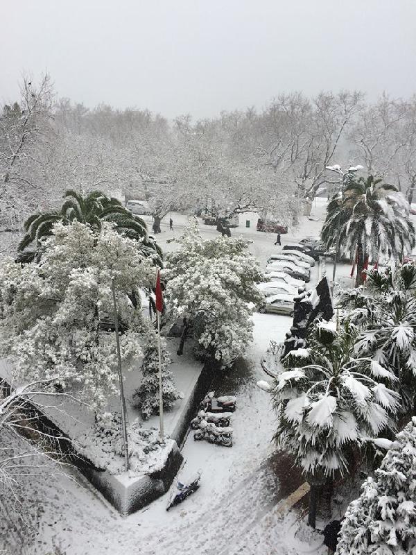 Erdek de beyazlara büründü