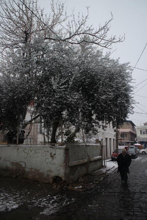 Ayvalık'ta yılın ikinci karı