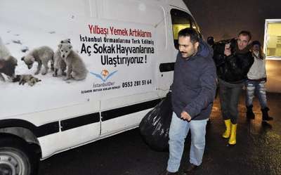 YILBAŞI GECESİ SAHİPSİZ SOKAK HAYVANLARI İÇİN YİYECEK TOPLADILAR