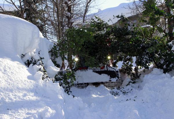 Rize’de kar esareti; Hasta paletli ambulansla kurtarıldı, heyelanda 25 küçükbaş hayvan telef oldu