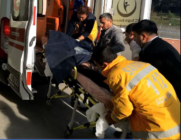 Sakarya'da ayı saldırısına uğrayan avcı yaralandı