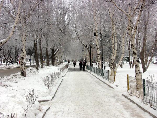 Doğu'yu soğuklardan kar yağış kurtaracak