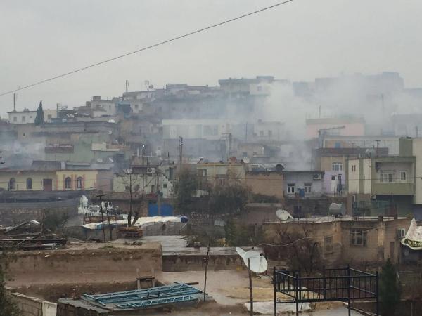 Cizre'ye yürümek isteyen HDP'lilere polis müdahalesi
