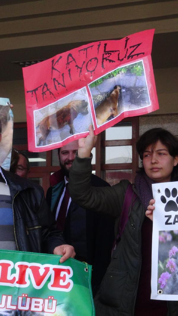 Üniversitede köpeklerin zehirlenmesi davası başladı