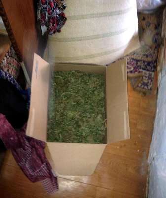 Düzce'de 1.5 kilo esrara 2 gözaltı