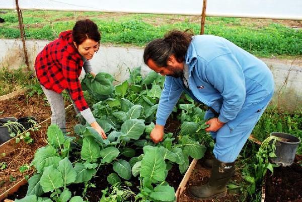 Bodrum'un organik ürünleri kargo ile kapıya teslim