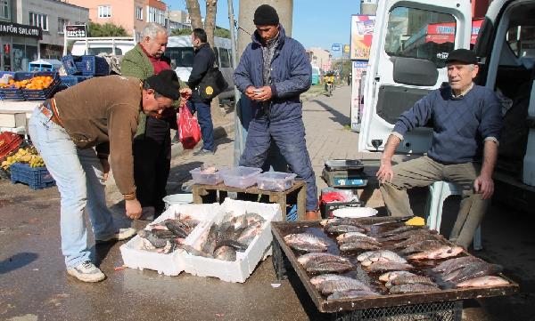Güneydoğu’daki terör, İsrail sazanını da vurdu