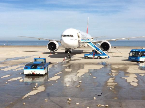 Emirates uçağıTrabzon’a acil iniş yaptı