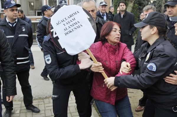 Sökülmemesi için ağaçlara sarılınca gözaltına alındılar