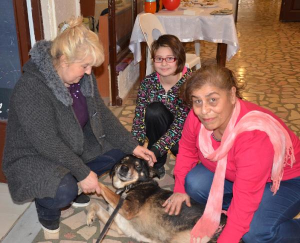 Köpeklerin tedavi için kermes düzenlediler