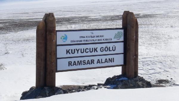 Kuyucuk Kuş Cenneti'ne yem bırakıldı