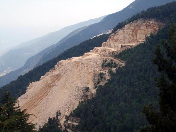 Taş ocağı katliamını arılar durduracak
