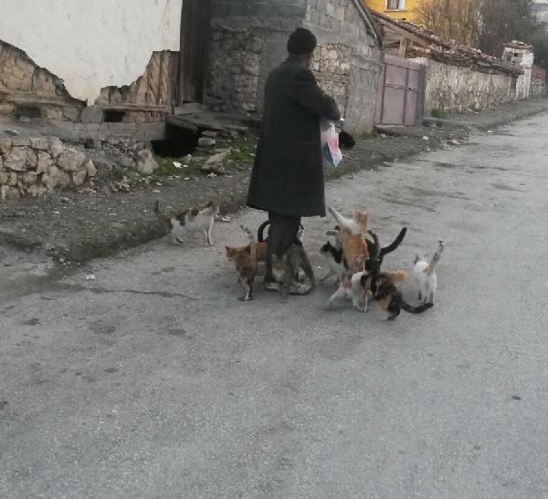Yaşlılık aylığı ile kedi ve köpeklere de bakıyor