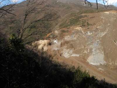 Fotokapanla görüntülen yaban kedisi taş ocağındaki patlamada öldü
