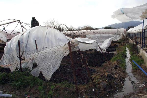 Bayındır'da kuvvetli rüzgar hayatı olumsuz etkiledi