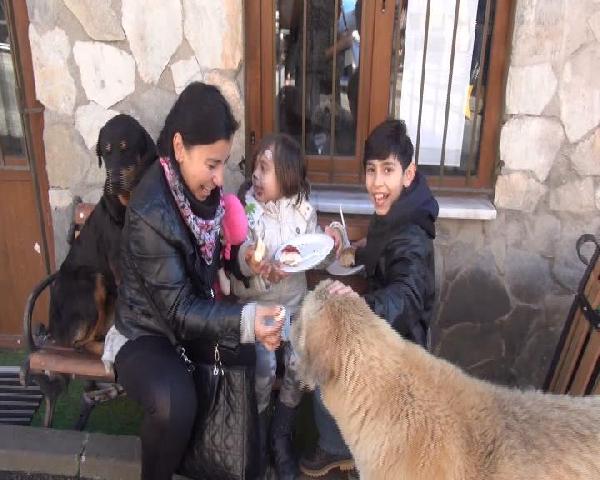 Hayvan barınağında sevgi günü kermesi