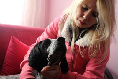 Av köpeği 'Aşkım'ı sahiplenmek isteyenler sıraya girdi