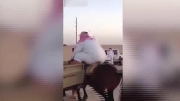 Aşırı şişman adamı at bile taşıyamadı