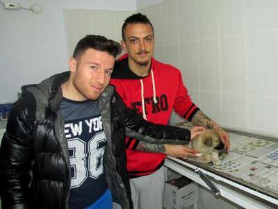 Ağaç kovuğuna sığınan yavru köpeğe futbolcular sahip çıktı