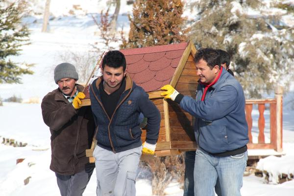 Nevşehir’de 20 kedi evi park ve bahçelere yerleştirildi