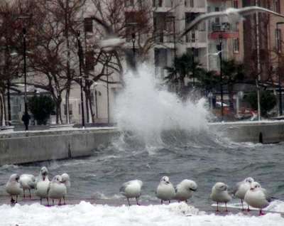 ÇANAKKALE'DE KAR DURDU, FIRTINA SÜRÜYOR