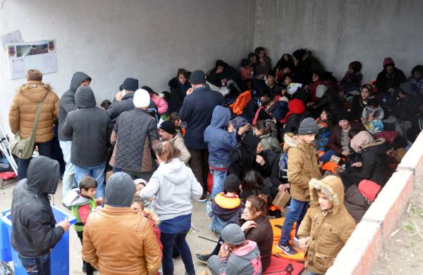 Didim'de 424 mülteci yakalandı