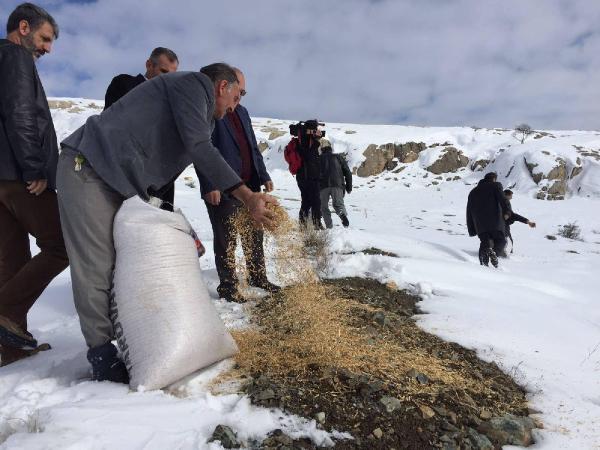 Elazığ'da yabani hayvanları için doğaya yem bıraktılar