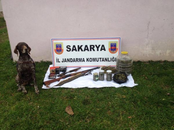 Evde saklanan uyuşturucuyu dedektör köpek buldu