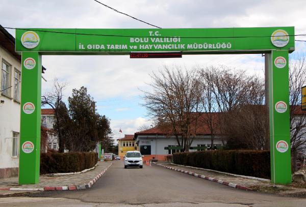 Bolu'da tüberkülozlu hayvan etinin piyasaya sürüldüğü iddiasına soruşturma
