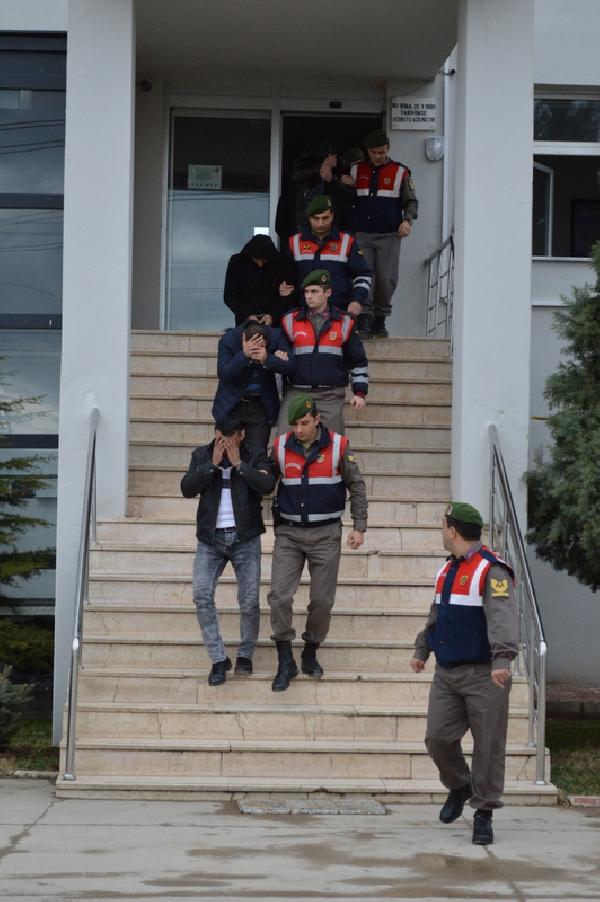 Yakıt ve ayçiçeği hırsızlarına darbe: 7 gözaltı