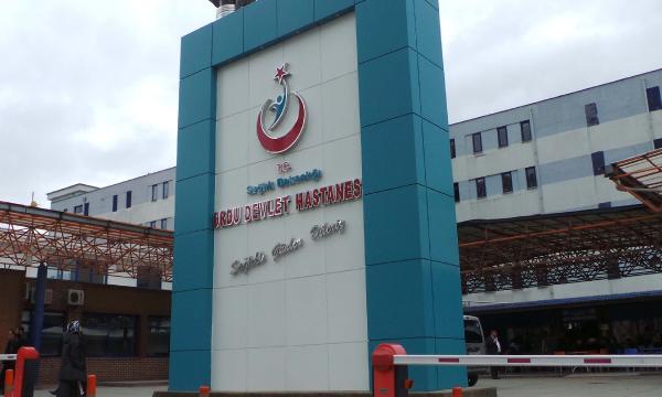 Domuz gribi Ordu'da can aldı