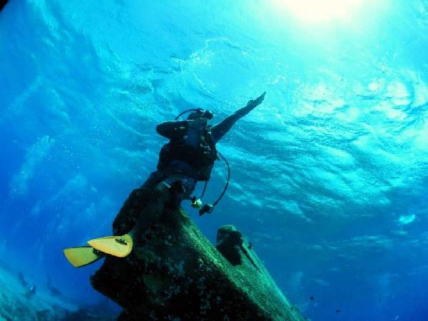 Japon prensinin fotoğrafçısı, Bodrum'un sualtı zenginliğini görüntüledi