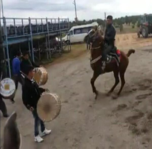 Davul ve zurnaya dayanamayan at