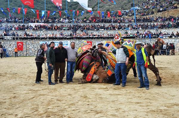Develer, spor kulübü yararına güreşti