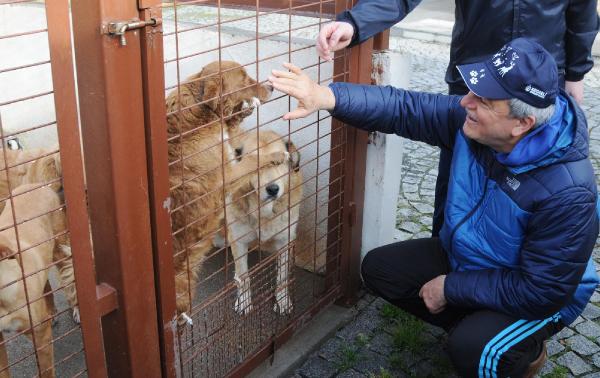 Başkan Karaosmanoğlu köpeklerin sahiplenilmesini istedi