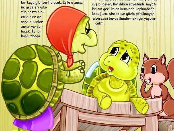 Diyanet Dergisi'nde başörtülü kaplumbağa