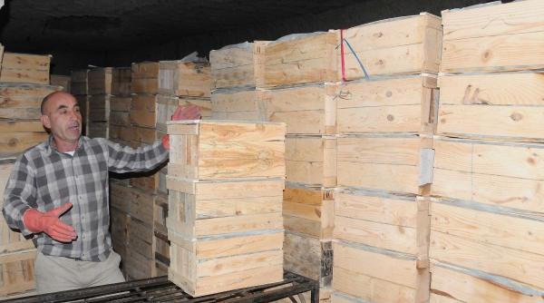 Akdeniz’de yetişen limonlar, Kapadokya’da lezzetleniyor