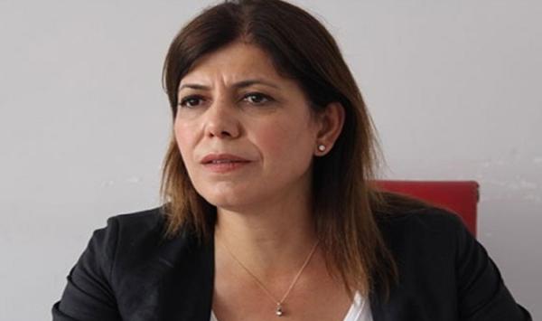 HDP'li Beştaş: Anayasa ile ilgili partimizin yetkili kurulları ile görüşeceğiz