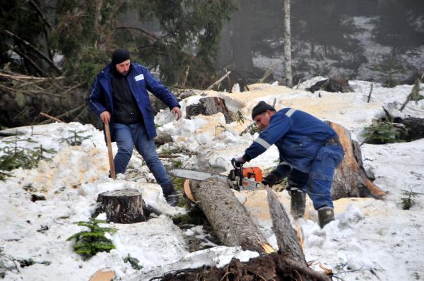Cerattepe'de çevrecilere coplu ve gazlı müdahaleden sonra, maden şirketi işe başladı